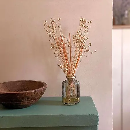 Clementines House 4* 옹플뢰르
